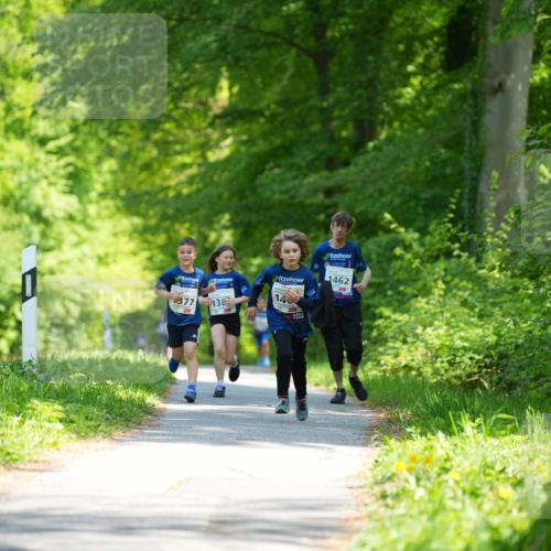 09.05.2026 - Störlauf LAZAROV Photography http://msf.ph/oto/9722408 09.05.2026 14:52:23 Laufen 1462, 14, 377, 138 meine-sportfotos.de