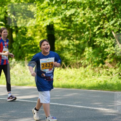 09.05.2026 - Störlauf LAZAROV Photography http://msf.ph/oto/9722531 09.05.2026 15:06:13 Laufen 2026, 2429 meine-sportfotos.de