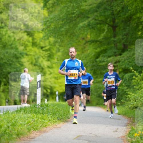 09.05.2026 - Störlauf LAZAROV Photography http://msf.ph/oto/9722639 09.05.2026 15:18:06 Laufen 2447, 2345, 2423 meine-sportfotos.de