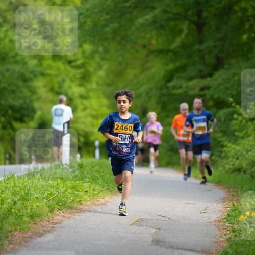 09.05.2026 - Störlauf LAZAROV Photography http://msf.ph/oto/9722725 09.05.2026 15:19:54 Laufen 2460 meine-sportfotos.de