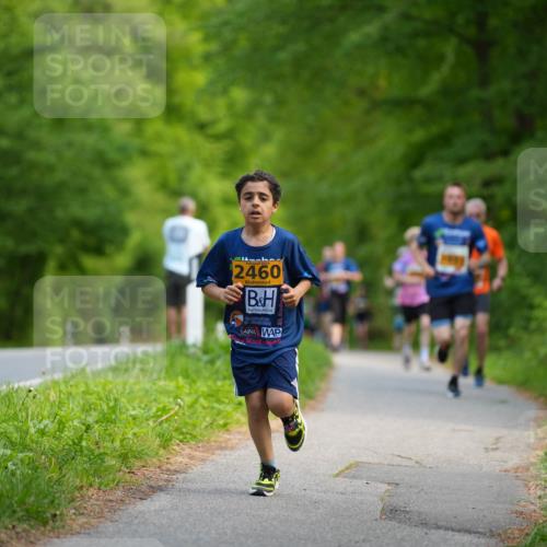09.05.2026 - Störlauf LAZAROV Photography http://msf.ph/oto/9722727 09.05.2026 15:19:55 Laufen 2460 meine-sportfotos.de