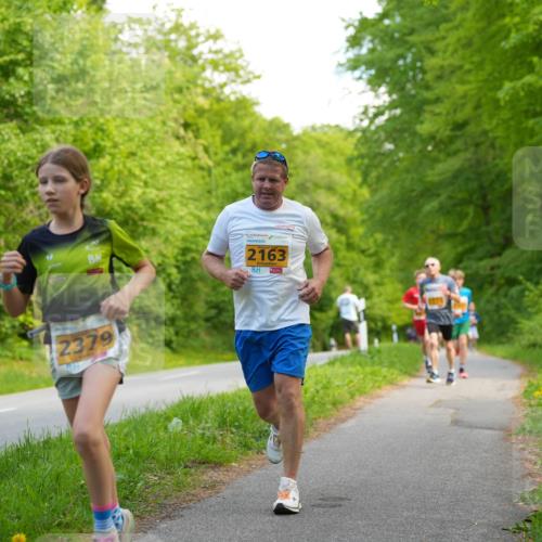 09.05.2026 - Störlauf LAZAROV Photography http://msf.ph/oto/9722772 09.05.2026 15:20:42 Laufen 2163, 2379 meine-sportfotos.de