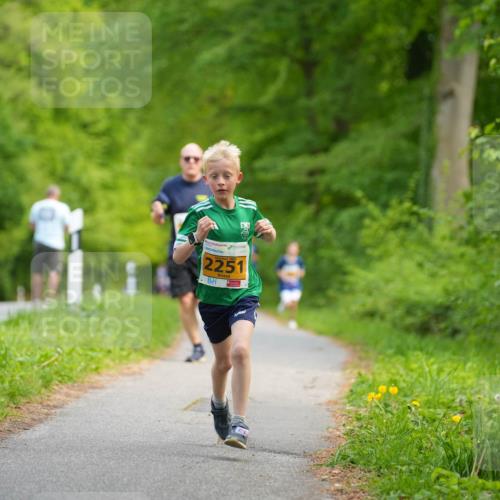 09.05.2026 - Störlauf LAZAROV Photography http://msf.ph/oto/9722807 09.05.2026 15:21:31 Laufen 2251 meine-sportfotos.de