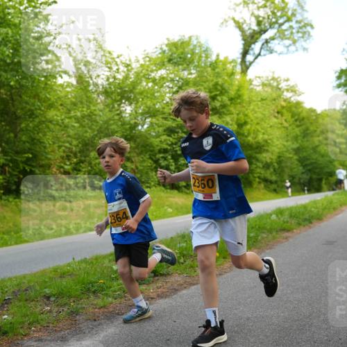 09.05.2026 - Störlauf LAZAROV Photography http://msf.ph/oto/9722834 09.05.2026 15:21:59 Laufen 2364, 2360 meine-sportfotos.de