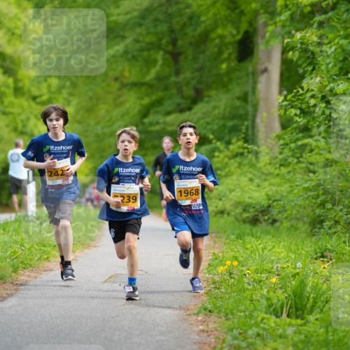 09.05.2026 - Störlauf LAZAROV Photography http://msf.ph/oto/9722896 09.05.2026 15:22:58 Laufen 242, 239, 1968 meine-sportfotos.de