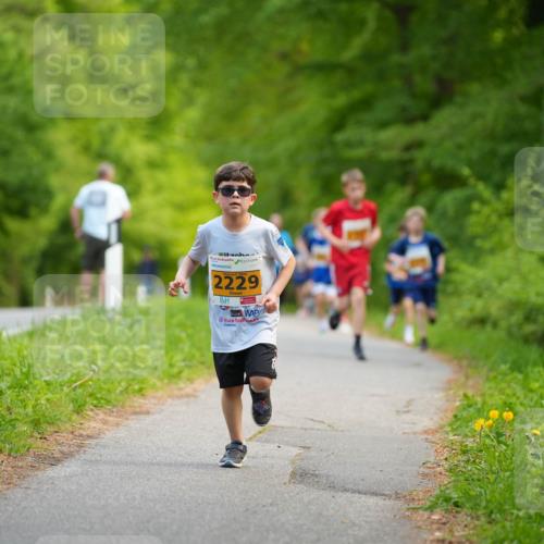 09.05.2026 - Störlauf LAZAROV Photography http://msf.ph/oto/9722911 09.05.2026 15:23:17 Laufen 202, 2229 meine-sportfotos.de