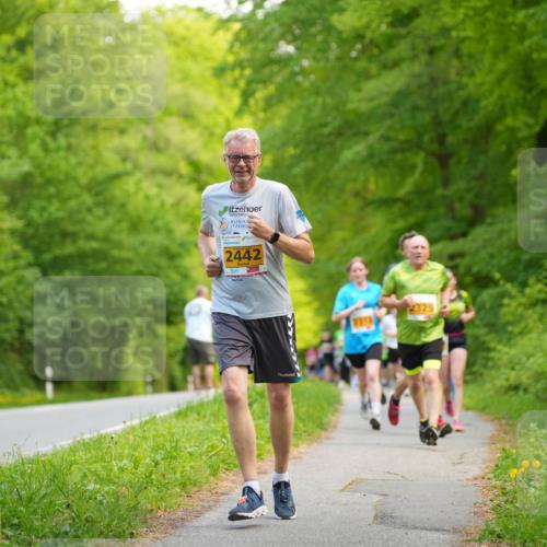 09.05.2026 - Störlauf LAZAROV Photography http://msf.ph/oto/9722948 09.05.2026 15:23:45 Laufen 2442, 2313 meine-sportfotos.de