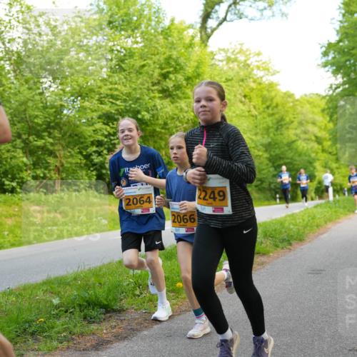 09.05.2026 - Störlauf LAZAROV Photography http://msf.ph/oto/9722983 09.05.2026 15:24:09 Laufen 6, 2064, 2066, 2249 meine-sportfotos.de