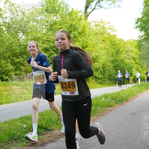 09.05.2026 - Störlauf LAZAROV Photography http://msf.ph/oto/9722984 09.05.2026 15:24:09 Laufen 2064, 2249 meine-sportfotos.de