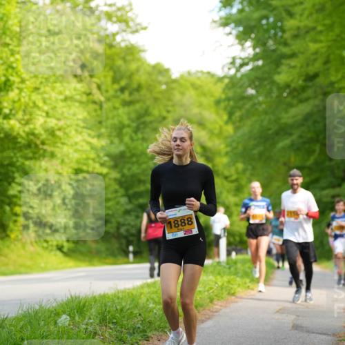 09.05.2026 - Störlauf LAZAROV Photography http://msf.ph/oto/9723023 09.05.2026 15:24:42 Laufen 412, 1888 meine-sportfotos.de