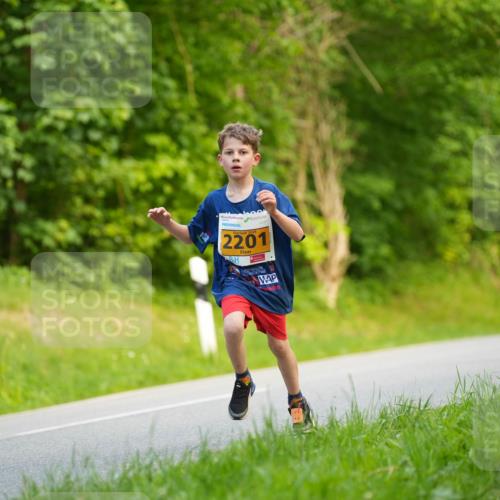 09.05.2026 - Störlauf LAZAROV Photography http://msf.ph/oto/9723104 09.05.2026 15:25:39 Laufen 2026, 2201, 2463 meine-sportfotos.de