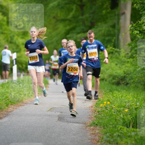 09.05.2026 - Störlauf LAZAROV Photography http://msf.ph/oto/9723147 09.05.2026 15:26:14 Laufen 2388, 1910, 2204 meine-sportfotos.de