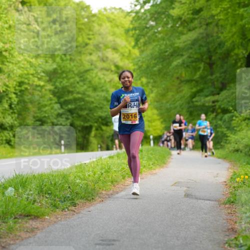 09.05.2026 - Störlauf LAZAROV Photography http://msf.ph/oto/9723200 09.05.2026 15:27:18 Laufen 2016 meine-sportfotos.de
