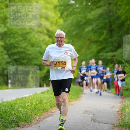 09.05.2026 - Störlauf LAZAROV Photography http://msf.ph/oto/9723238 09.05.2026 15:27:56 Laufen 2114 meine-sportfotos.de