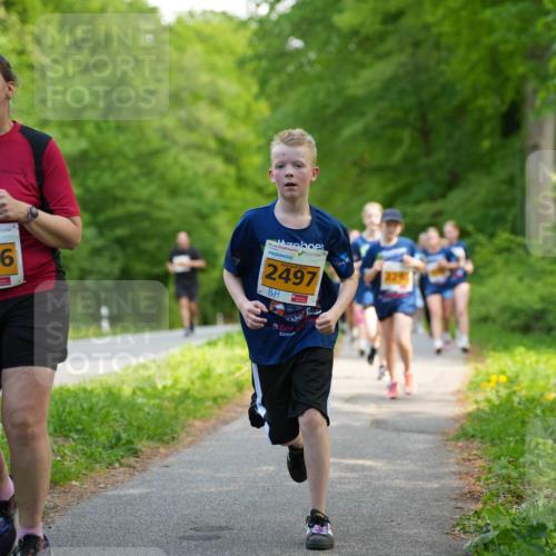 09.05.2026 - Störlauf LAZAROV Photography http://msf.ph/oto/9723436 09.05.2026 15:30:48 Laufen 2026, 2166, 2026, 2497, 2291 meine-sportfotos.de