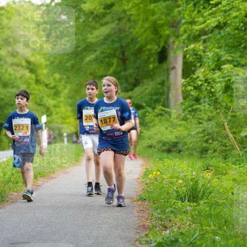 09.05.2026 - Störlauf LAZAROV Photography http://msf.ph/oto/9723532 09.05.2026 15:32:34 Laufen 2321, 20, 1877 meine-sportfotos.de