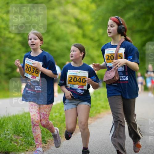 09.05.2026 - Störlauf LAZAROV Photography http://msf.ph/oto/9723578 09.05.2026 15:33:21 Laufen 2026, 2036, 2040, 20, 5 meine-sportfotos.de