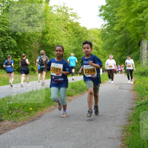 09.05.2026 - Störlauf LAZAROV Photography http://msf.ph/oto/9723630 09.05.2026 15:36:10 Laufen 2205, 2208 meine-sportfotos.de