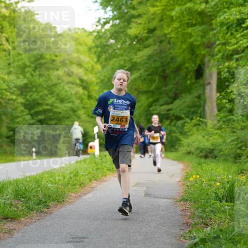 09.05.2026 - Störlauf LAZAROV Photography http://msf.ph/oto/9723685 09.05.2026 15:37:39 Laufen 2463, 3 meine-sportfotos.de