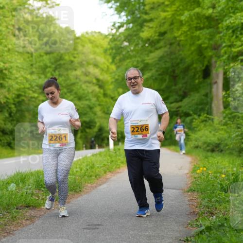 09.05.2026 - Störlauf LAZAROV Photography http://msf.ph/oto/9723725 09.05.2026 15:38:24 Laufen 2261, 2266 meine-sportfotos.de