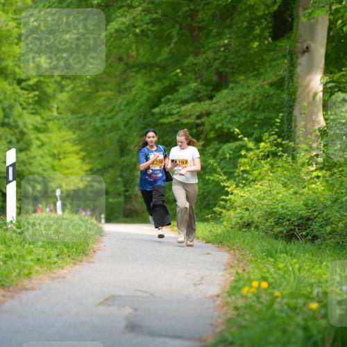 09.05.2026 - Störlauf LAZAROV Photography http://msf.ph/oto/9723758 09.05.2026 15:40:27 Laufen 2298, 297 meine-sportfotos.de