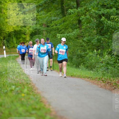 09.05.2026 - Störlauf LAZAROV Photography http://msf.ph/oto/9723856 09.05.2026 18:10:14 Laufen 4168, 4167, 4094 meine-sportfotos.de