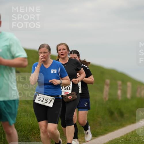 09.05.2026 - Störlauf LAZAROV Photography http://msf.ph/oto/9724313 09.05.2026 18:52:18 Laufen 5146, 5257, 750, 4429 meine-sportfotos.de