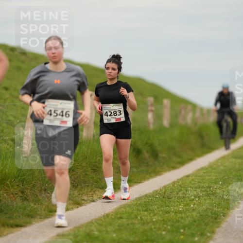 09.05.2026 - Störlauf LAZAROV Photography http://msf.ph/oto/9724879 09.05.2026 18:59:44 Laufen 42, 4546, 4283 meine-sportfotos.de