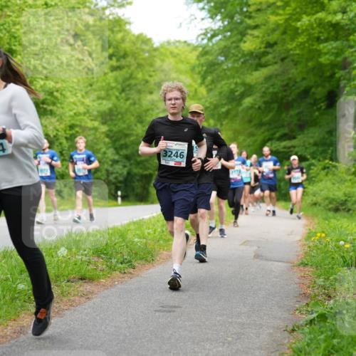 09.05.2026 - Störlauf LAZAROV Photography http://msf.ph/oto/9725697 09.05.2026 16:24:32 Laufen 3254, 3246 meine-sportfotos.de