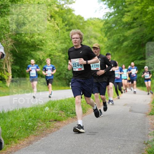 09.05.2026 - Störlauf LAZAROV Photography http://msf.ph/oto/9725698 09.05.2026 16:24:33 Laufen 3254, 3246, 3190 meine-sportfotos.de