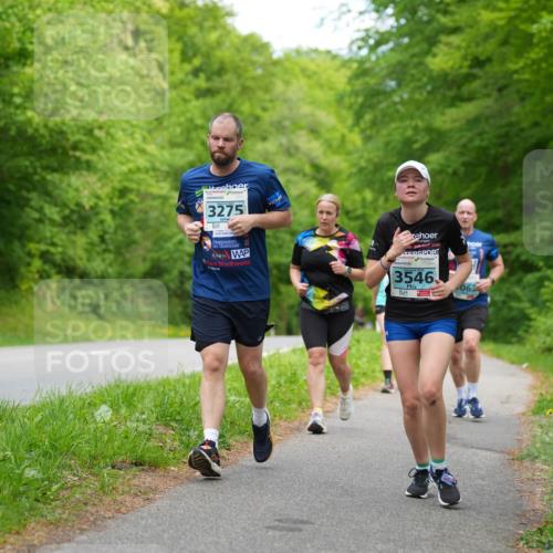 09.05.2026 - Störlauf LAZAROV Photography http://msf.ph/oto/9725714 09.05.2026 16:24:39 Laufen 3275, 3546, 063 meine-sportfotos.de