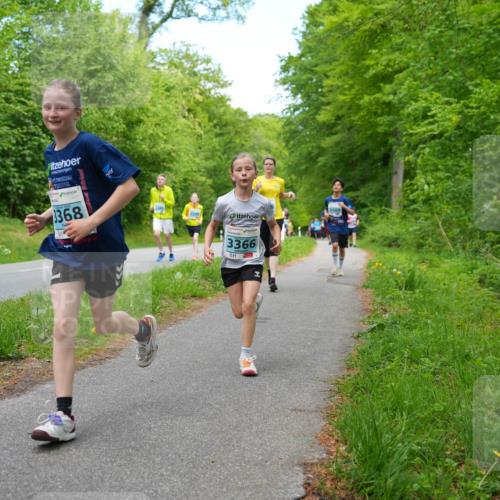 09.05.2026 - Störlauf LAZAROV Photography http://msf.ph/oto/9725855 09.05.2026 16:25:46 Laufen 368, 3366 meine-sportfotos.de