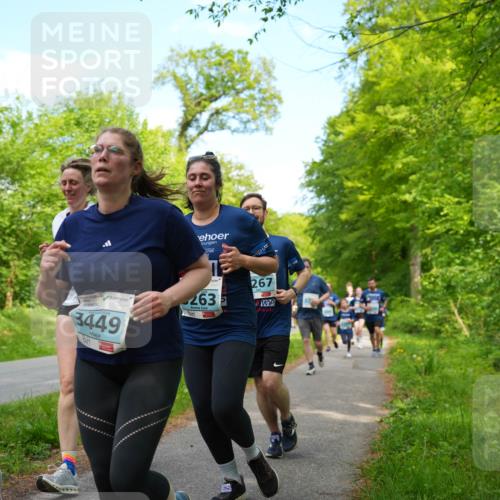 09.05.2026 - Störlauf LAZAROV Photography http://msf.ph/oto/9726208 09.05.2026 16:28:36 Laufen 364, 2026, 3449, 263, 267 meine-sportfotos.de