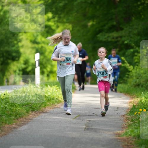 09.05.2026 - Störlauf LAZAROV Photography http://msf.ph/oto/9726395 09.05.2026 16:30:26 Laufen 88, 3383 meine-sportfotos.de