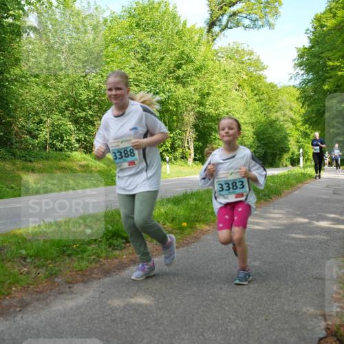 09.05.2026 - Störlauf LAZAROV Photography http://msf.ph/oto/9726415 09.05.2026 16:30:31 Laufen 3388, 3383 meine-sportfotos.de