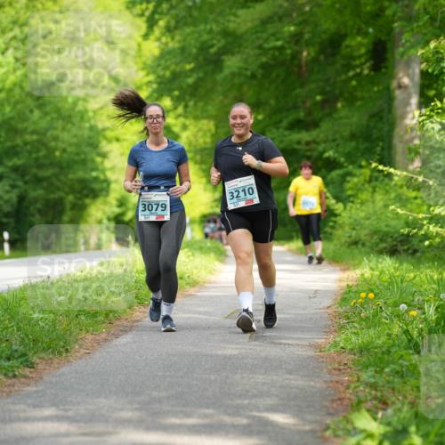 09.05.2026 - Störlauf LAZAROV Photography http://msf.ph/oto/9726449 09.05.2026 16:30:59 Laufen 3079, 3210 meine-sportfotos.de