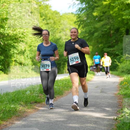 09.05.2026 - Störlauf LAZAROV Photography http://msf.ph/oto/9726455 09.05.2026 16:31:01 Laufen 3079, 3210 meine-sportfotos.de