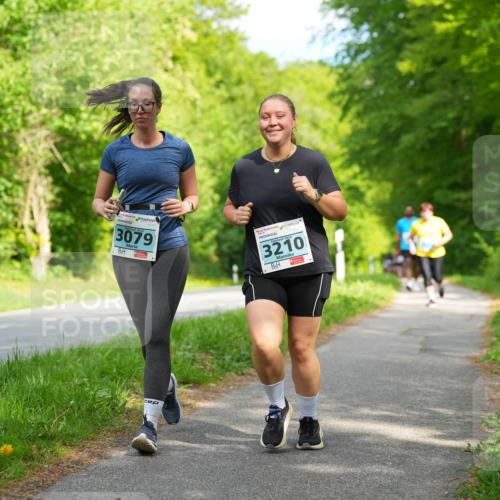 09.05.2026 - Störlauf LAZAROV Photography http://msf.ph/oto/9726458 09.05.2026 16:31:01 Laufen 3079, 2020, 3210 meine-sportfotos.de