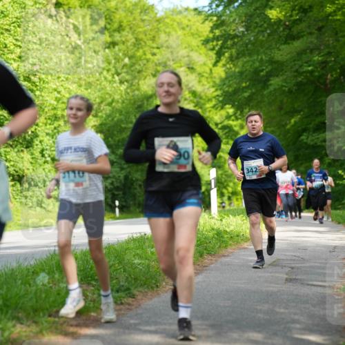 09.05.2026 - Störlauf LAZAROV Photography http://msf.ph/oto/9726504 09.05.2026 16:31:41 Laufen 17, 2111, 90, 342, 5317 meine-sportfotos.de
