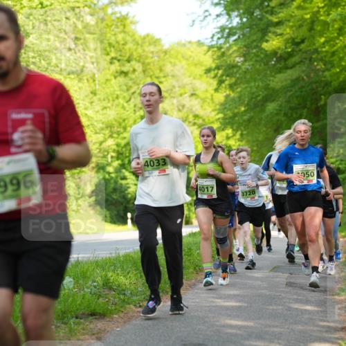 09.05.2026 - Störlauf LAZAROV Photography http://msf.ph/oto/9726758 09.05.2026 17:22:47 Laufen 3996, 4033, 950, 4017, 3720 meine-sportfotos.de