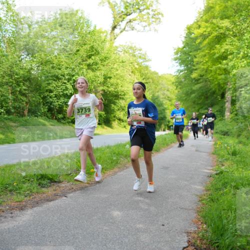 09.05.2026 - Störlauf LAZAROV Photography http://msf.ph/oto/9727213 09.05.2026 17:26:15 Laufen 59, 3739 meine-sportfotos.de