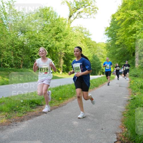 09.05.2026 - Störlauf LAZAROV Photography http://msf.ph/oto/9727215 09.05.2026 17:26:15 Laufen 3739, 3740, 3904 meine-sportfotos.de