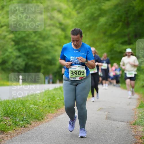 09.05.2026 - Störlauf LAZAROV Photography http://msf.ph/oto/9727481 09.05.2026 17:28:23 Laufen 3909 meine-sportfotos.de
