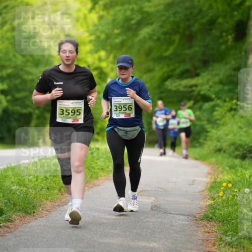 09.05.2026 - Störlauf LAZAROV Photography http://msf.ph/oto/9727810 09.05.2026 17:31:11 Laufen 3595, 3956 meine-sportfotos.de