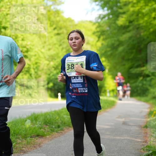 09.05.2026 - Störlauf LAZAROV Photography http://msf.ph/oto/9727941 09.05.2026 17:32:36 Laufen 24, 2026, 38, 1 meine-sportfotos.de