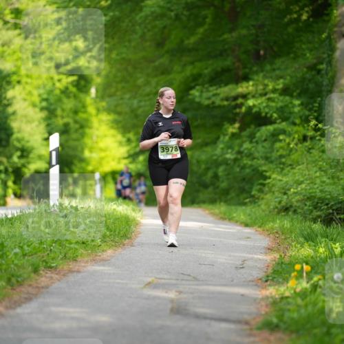 09.05.2026 - Störlauf LAZAROV Photography http://msf.ph/oto/9728015 09.05.2026 17:34:42 Laufen 3978 meine-sportfotos.de