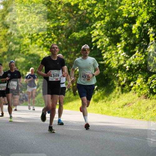 09.05.2026 - Störlauf LAZAROV Photography http://msf.ph/oto/9728183 09.05.2026 18:03:09 Laufen 513, 4545, 5088, 5288, 4349, 43 meine-sportfotos.de