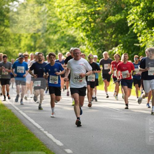 09.05.2026 - Störlauf LAZAROV Photography http://msf.ph/oto/9728254 09.05.2026 18:03:59 Laufen 010, 243, 4393, 1983, 506, 4560, 464, 4590, 5050, 485 meine-sportfotos.de