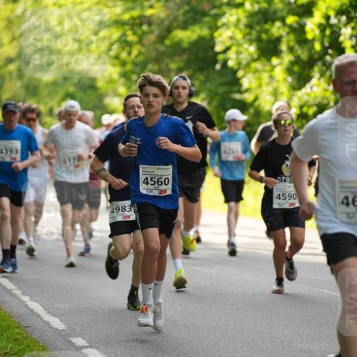 09.05.2026 - Störlauf LAZAROV Photography http://msf.ph/oto/9728261 09.05.2026 18:04:02 Laufen 4393, 4983, 4560, 4346, 4590, 4648 meine-sportfotos.de