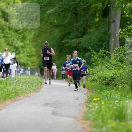 09.05.2026 - Störlauf LAZAROV Photography http://msf.ph/oto/9728606 09.05.2026 13:50:49 Laufen 28, 688, 581, 63, 686 meine-sportfotos.de